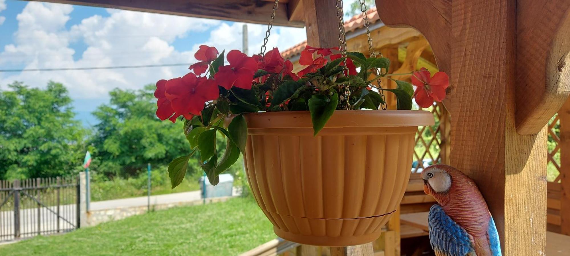 Mini Complex Rilski Terasi Sapareva Banya Bagian luar foto