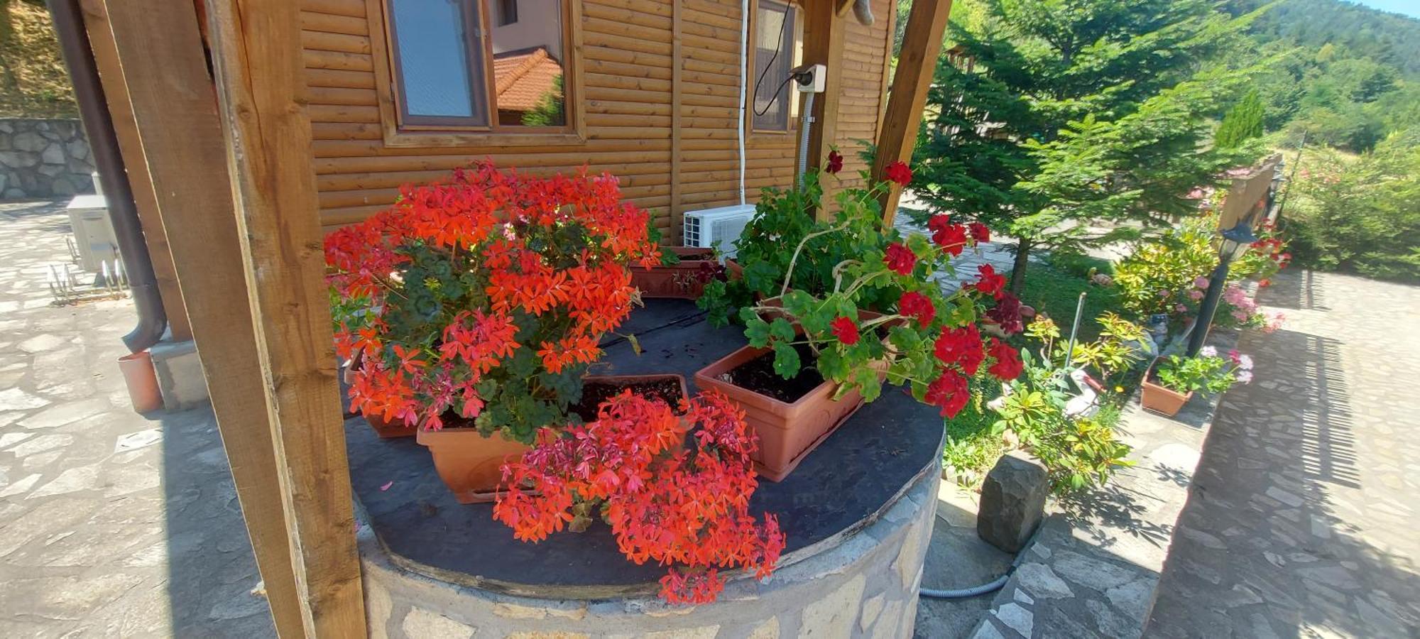 Mini Complex Rilski Terasi Sapareva Banya Bagian luar foto