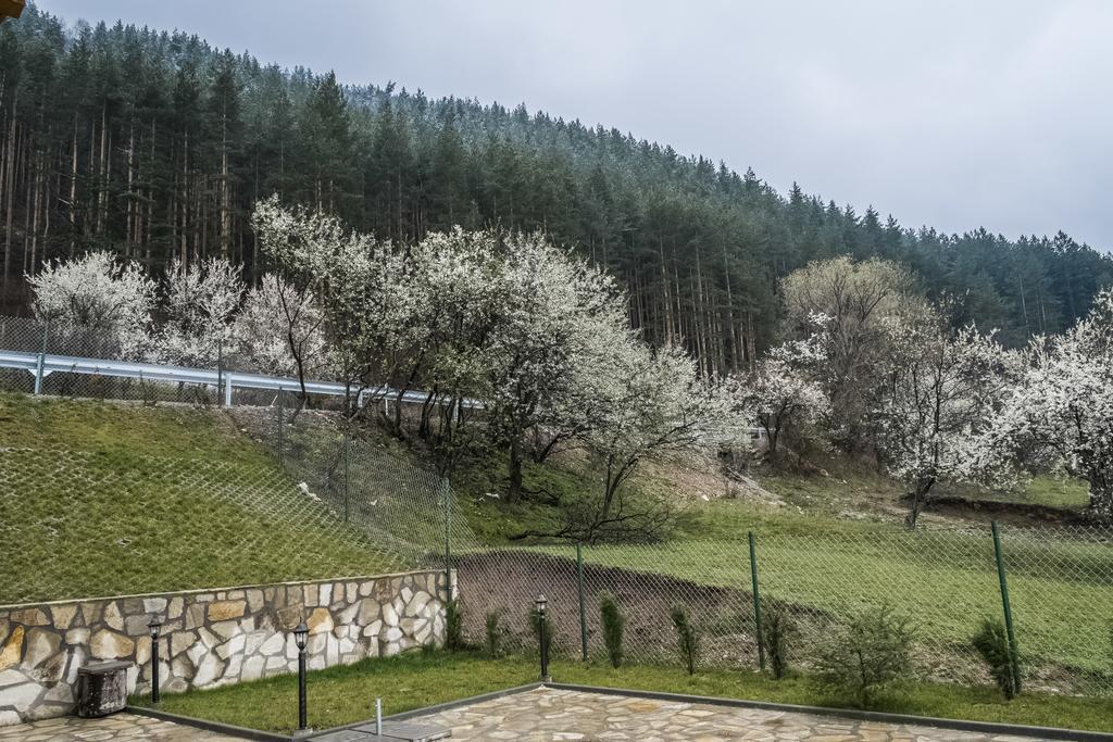 Mini Complex Rilski Terasi Sapareva Banya Bagian luar foto